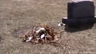 قبر اد گین (تا به حال این قبر را دیده اید؟)