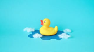 Rubber Ducky | stop motion animation