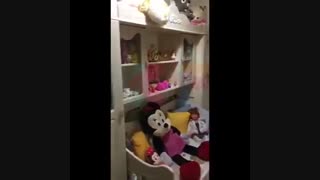 کپل پا کجاست؟