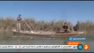 وضعیت ماهی تیلاپیا تالاب شادگان ایران