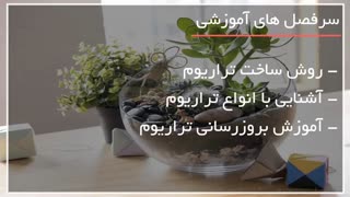 آموزش ساخت تراریوم (باغ شیشه ای)