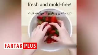 ترفندهایی ساده برای نگهداری بهتر میوه و سبزیجات