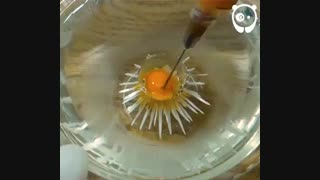 خلاقیت هنر با تزریق ژله