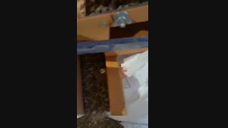 بوجاری تک فاز و درجه بندی