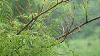 بندگان شکور خدا❀استاد پناهیان
