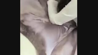 یه همچین کادویی واسه ولنتاین باید گرفت