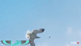 دیدنی های ترکیه