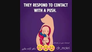 فیلم سونوگرافی