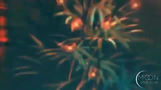Bungo Stray Dogs - 16 SHOTS ~AMV