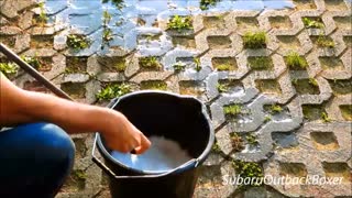 شامپو واکس کوچک سوناکس SONAX
