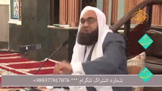 مولانا فقهی