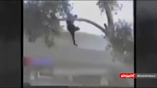 تصاویری دردناک از شکنجه اسرای ایرانی توسط منافقین