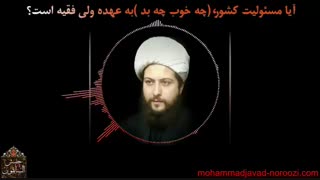 آیا رهبری مقصر است؟! - حجت الاسلام محمد جواد نوروزی نصرت