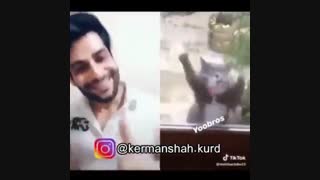 چه باحال اداشو در میاره