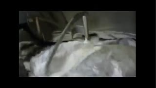 بلندر (میکسر پودر)