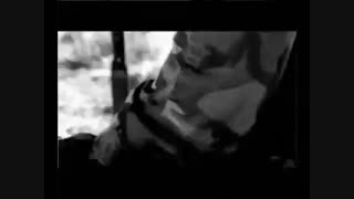 شادمهر عقیلی:تقدیر
