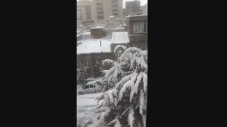 برف صبح در شهرمون رو به روی خونمون