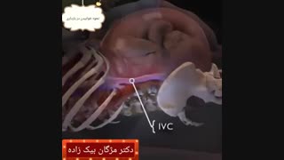 نحوه خوابیدن در دوران بارداری