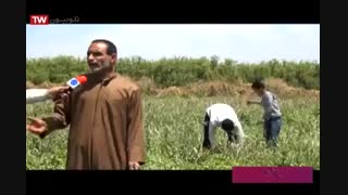 مصاحبه با یک جوان کارآفرین بخش فتح المبین