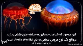 دانستنیها - 2