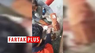 نجات یک سگ توسط تیم امداد و نجات هلال احمر صومعه‌سرا