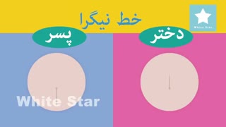 هفته چهاردهم بارداری- فیلم - مامامی