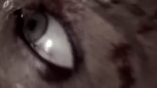 دانلود رایگان قسمت اول سریال احضار - iCinemaa.com