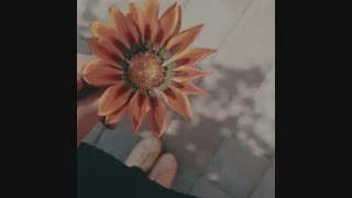 ♡تصویر ارامش
