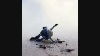♡مخترع کم توقع!