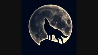 ♡باور و تجدید حیات