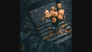 ♡ به نام انسانیت