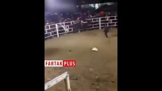 درگیری گاوبازها با یکدیگر حین گاوبازی