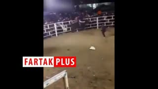 درگیری گاوبازها با یکدیگر حین گاوبازی