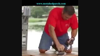 دریلی کاربردی با قابلیت تغییر سریع مته