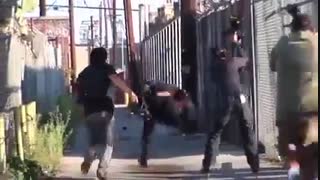 فیلمبردار حرفه ای برای سینما - تجهیزات کامل فیلمسازی