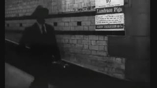 فیلم کمدی من زندان را دوست دارم - نورمن ویزدوم *دوبله فارسی *