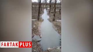 وقتی جنگل تبدیل به دریاچه می‌شود!