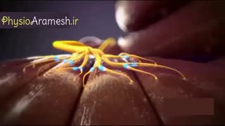 درمان درد نقطه ای در پشت با الکتروتراپی