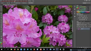 آموزش  تار کردن قسمتی از عکس در فتوشاپ