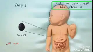 رشد نوزاد