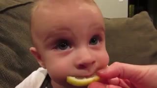گوگول ....