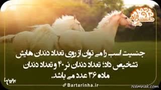 دانستنی ها - 11