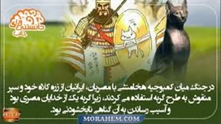 دانستنی ها - 12