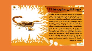 دانستنی ها - 15