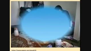 زنده ماندن در خوابگاه دانشجویی 3