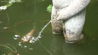 غزل شمارهٔ ۴۲۳  از حافظ  برای کسانی که هنوز  فرق بین مذکر و مونث را  نمیدانند.