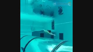 سندرم دان پرا کنده است سندرم ماهی دریایی رویاییی