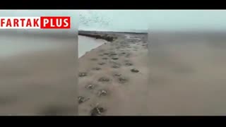 تصاویری جدید از هورالعظیم که شگفت‌زده‌تان خواهد کرد