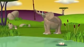 Funny Animals 03