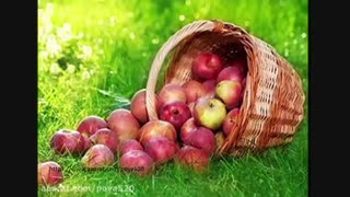 گوهر های ناب 1